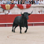 Victorino Martín Andrés. Los hitos.