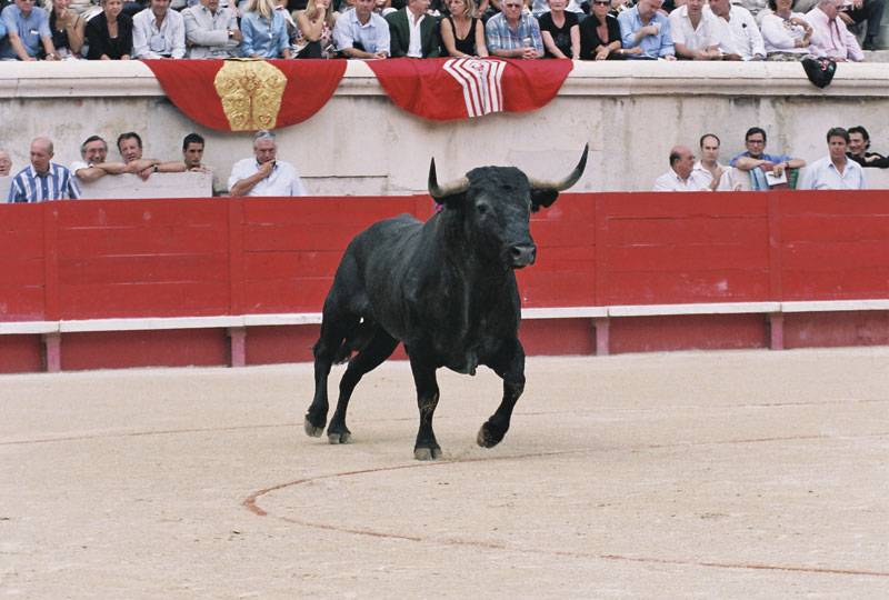 Victorino Martín Andrés. Los hitos.