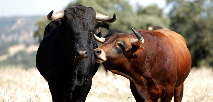 La Resnera, el legado de Diego Puerta