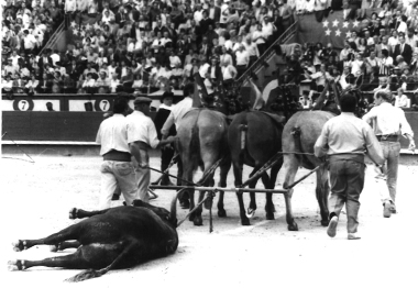 El Tato: "Fue sinónimo de integridad y emoción"