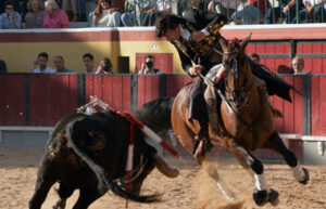 Ventura lidiando al bravo toro de Prudencio en Vila Franca de Xira