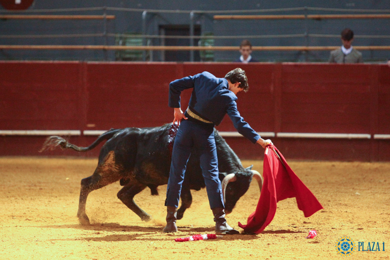 I semifinal La Oportunidad de Vistalegre 2017
