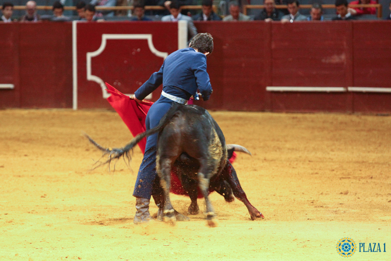 I semifinal La Oportunidad de Vistalegre 2017