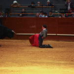 I semifinal La Oportunidad de Vistalegre 2017