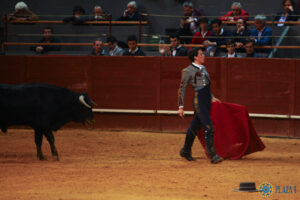 I semifinal La Oportunidad de Vistalegre 2017