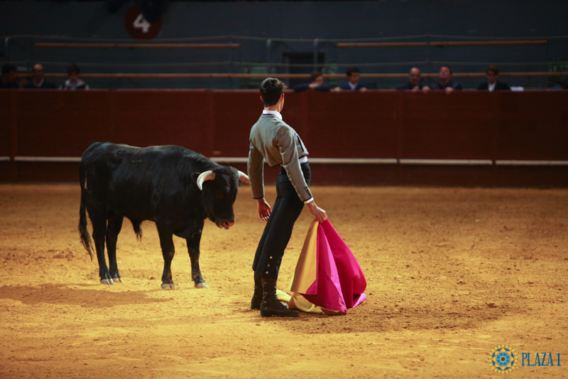 I semifinal La Oportunidad de Vistalegre 2017