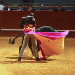 I semifinal La Oportunidad de Vistalegre 2017