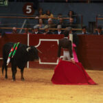 I semifinal La Oportunidad de Vistalegre 2017