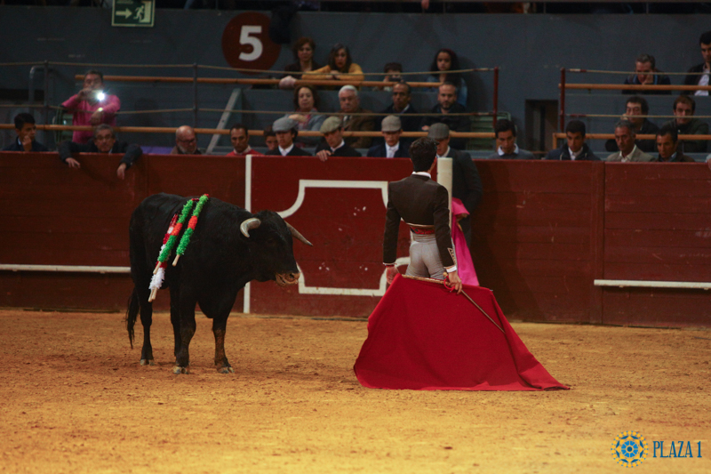 I semifinal La Oportunidad de Vistalegre 2017