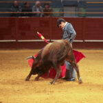 I semifinal La Oportunidad de Vistalegre 2017