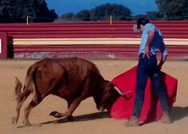 Palazón se prepara en el campo
