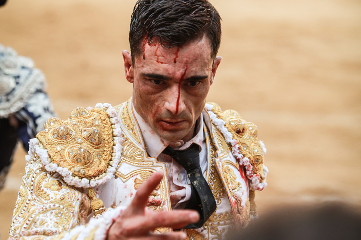 Paco Ureña: "Entregar mi cuerpo a un toro es mi modo de aportar algo a la Tauromaquia"