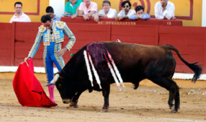 "Ya fuera por la trayectoria o por la temporada, todos los caminos conducían a Ponce".