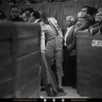 Detalles de la corrida del 12 de diciembre en La México