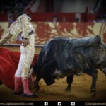 México DF. 12 de diciembre de 2017.