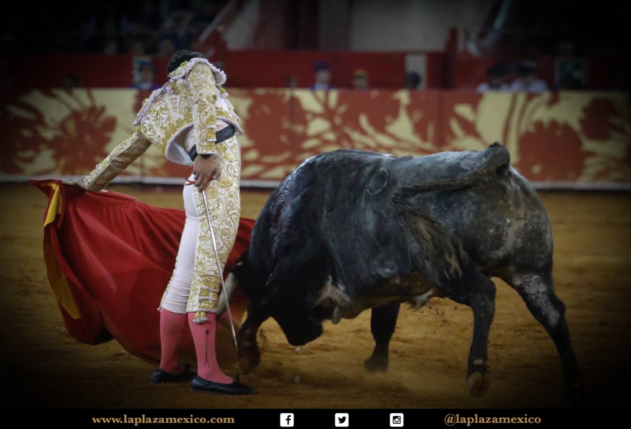 México DF. 12 de diciembre de 2017.