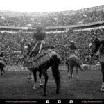 Detalles de la corrida del 12 de diciembre en La México