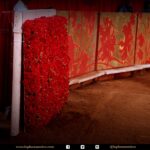 Detalles de la corrida del 12 de diciembre en La México