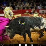 México DF. 12 de diciembre de 2017.