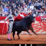 México DF. 12 de diciembre de 2017.