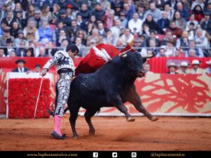 México DF. 12 de diciembre de 2017.