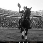 Detalles de la corrida del 12 de diciembre en La México