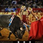 México DF. 12 de diciembre de 2017.