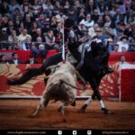 México DF. 12 de diciembre de 2017.