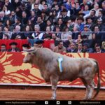 Detalles de la corrida del 12 de diciembre en La México