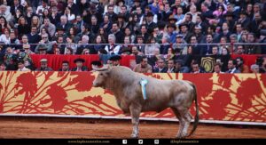 Detalles de la corrida del 12 de diciembre en La México