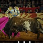 México DF. 12 de diciembre de 2017.