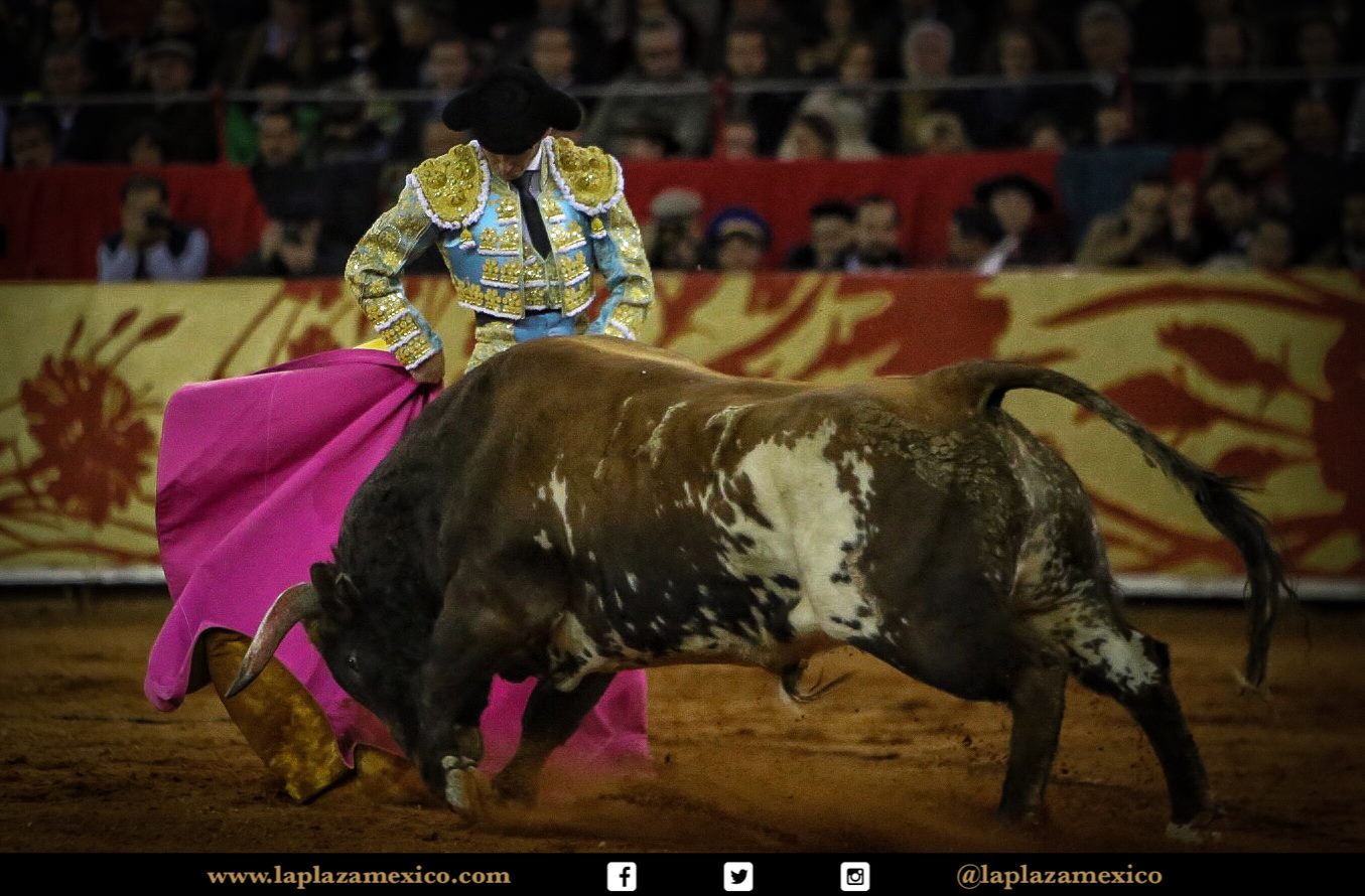 México DF. 12 de diciembre de 2017.