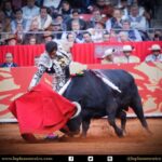 México DF. 12 de diciembre de 2017.