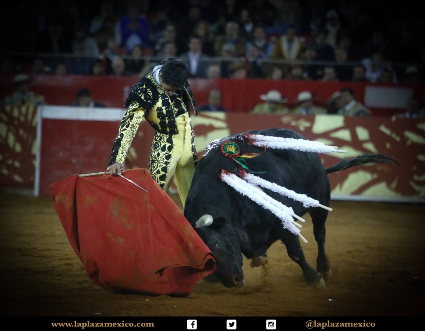 México DF. 12 de diciembre de 2017.