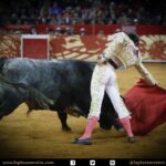 México DF. 12 de diciembre de 2017.