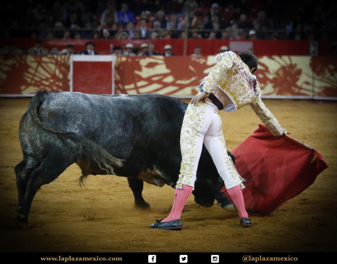 México DF. 12 de diciembre de 2017.