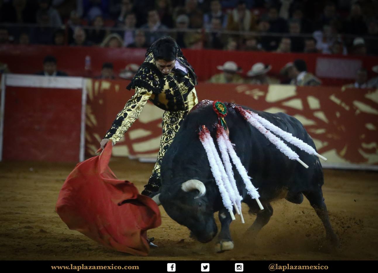 México DF. 12 de diciembre de 2017.