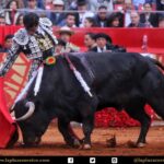 México DF. 12 de diciembre de 2017.