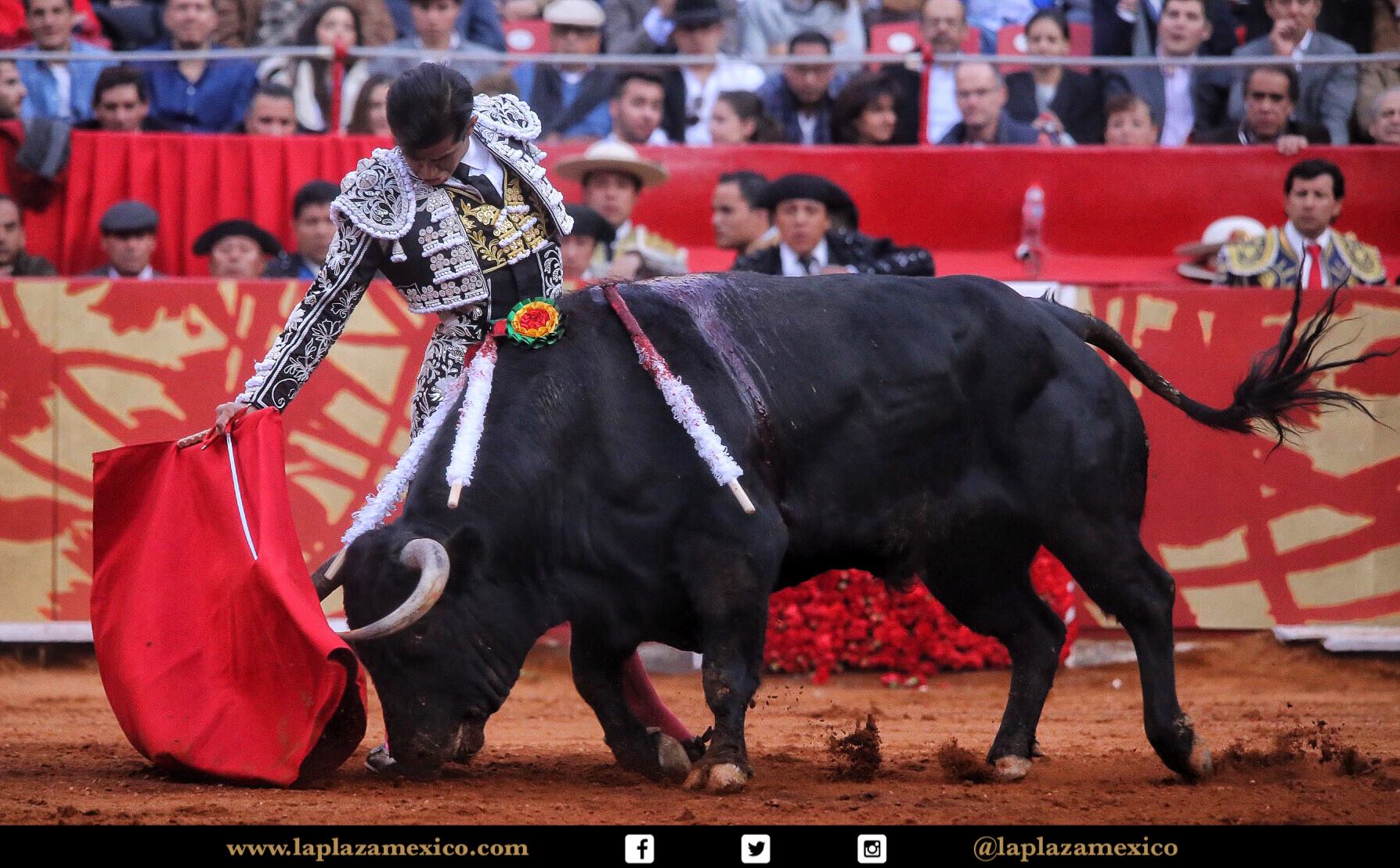 México DF. 12 de diciembre de 2017.