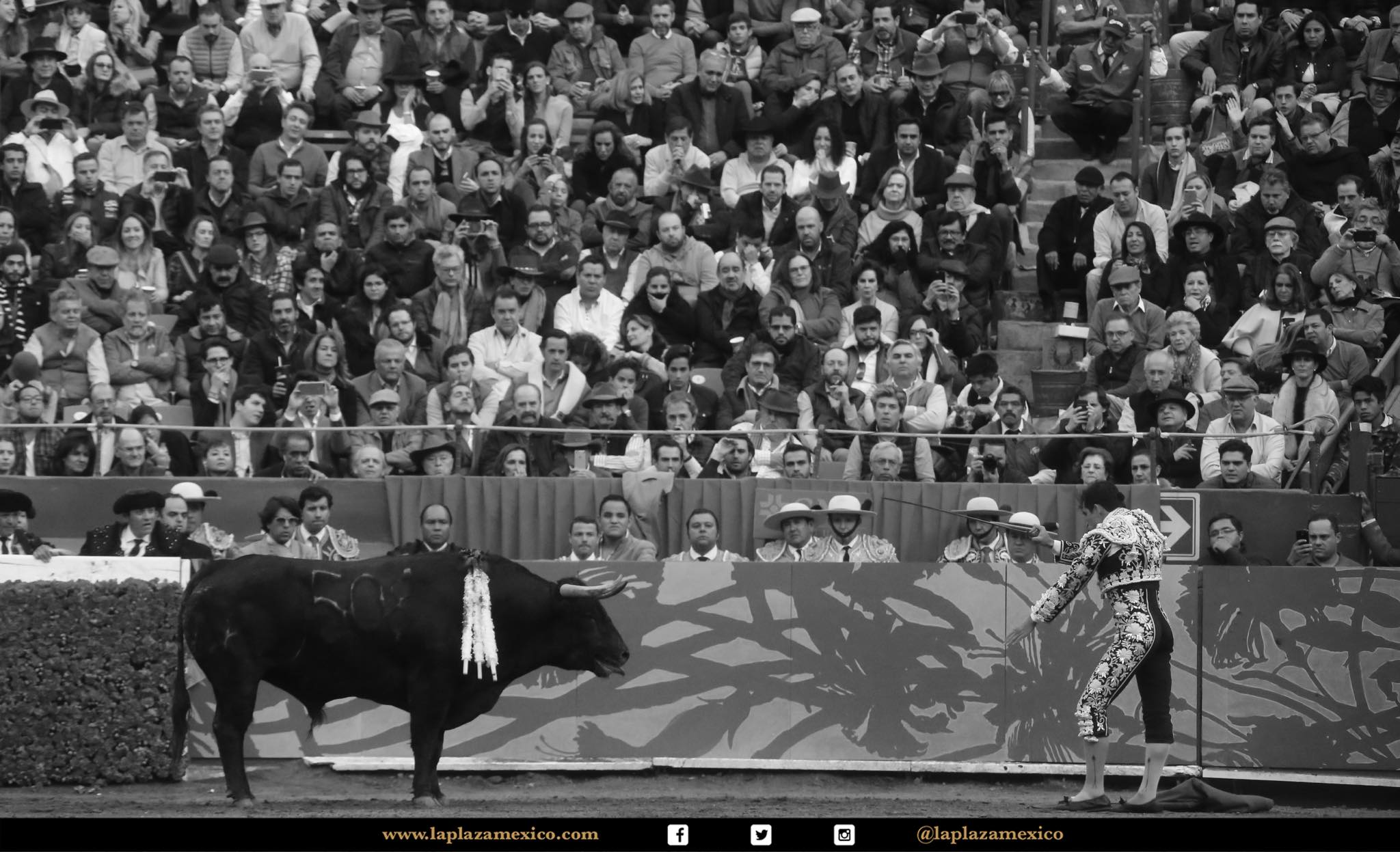 Detalles de la corrida del 12 de diciembre en La México