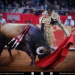 México DF. 12 de diciembre de 2017.