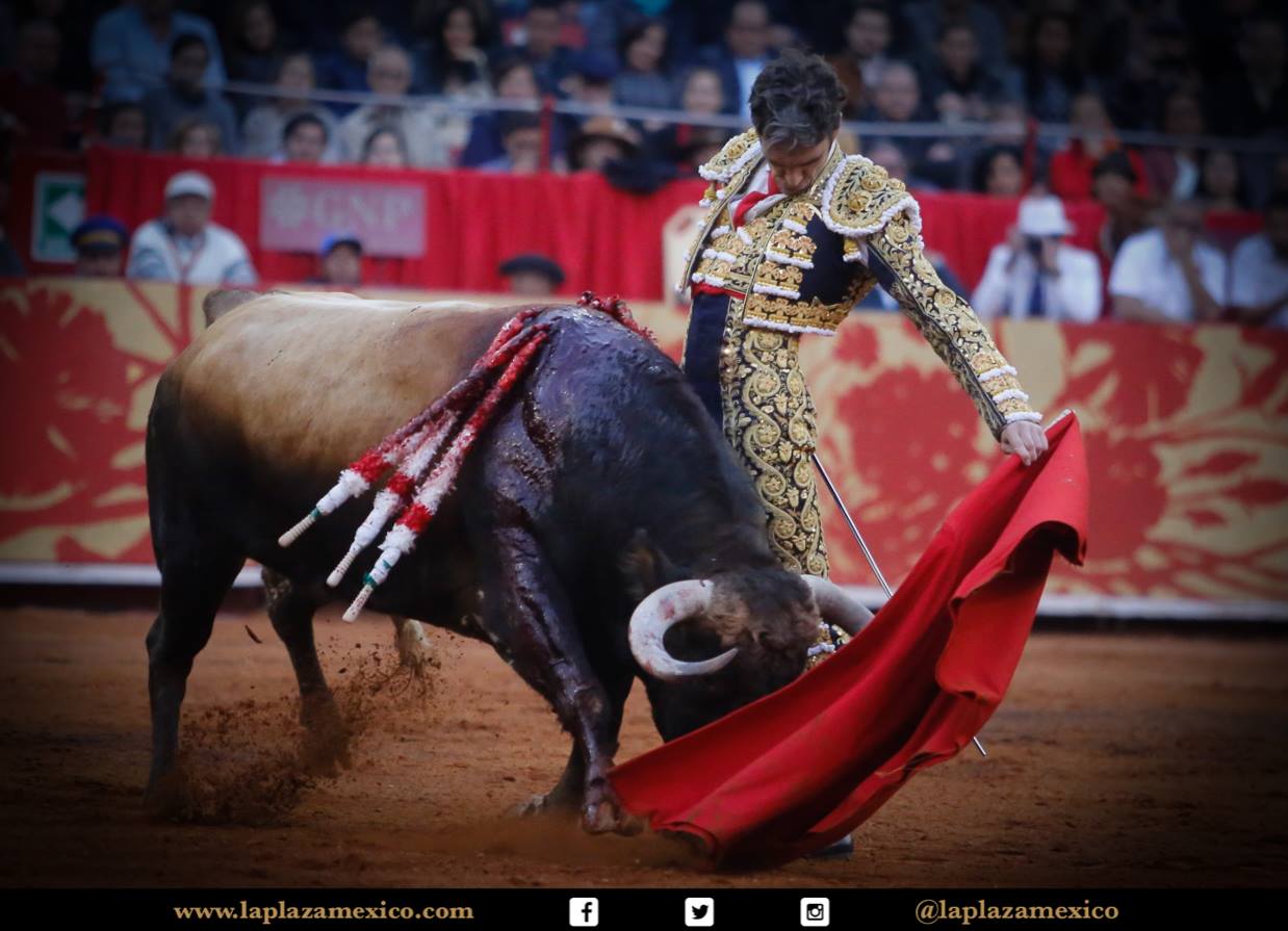 México DF. 12 de diciembre de 2017.