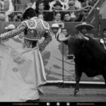 Detalles de la corrida del 12 de diciembre en La México