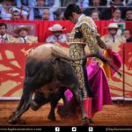 México DF. 12 de diciembre de 2017.