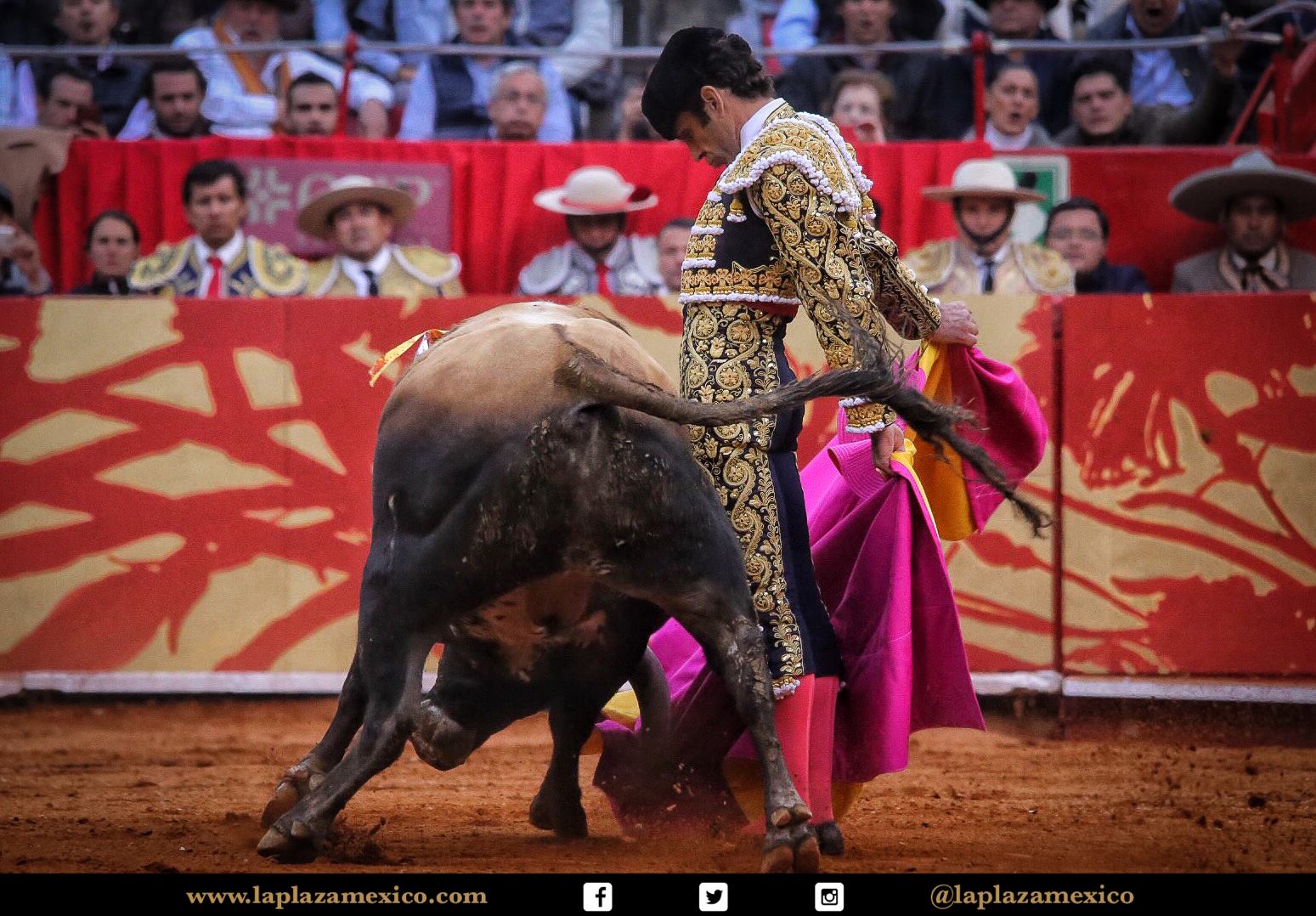 México DF. 12 de diciembre de 2017.