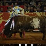 México DF. 12 de diciembre de 2017.