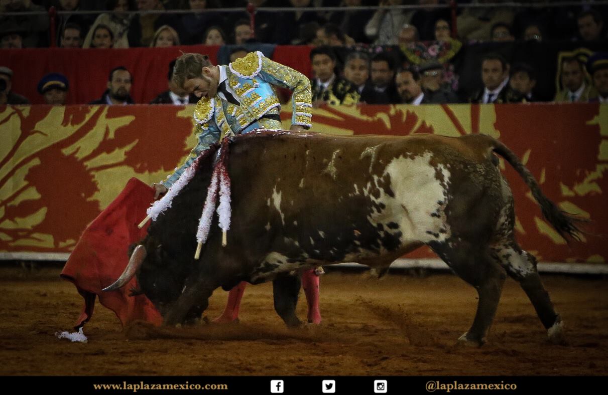 México DF. 12 de diciembre de 2017.