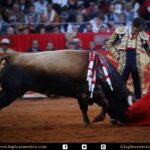 México DF. 12 de diciembre de 2017.