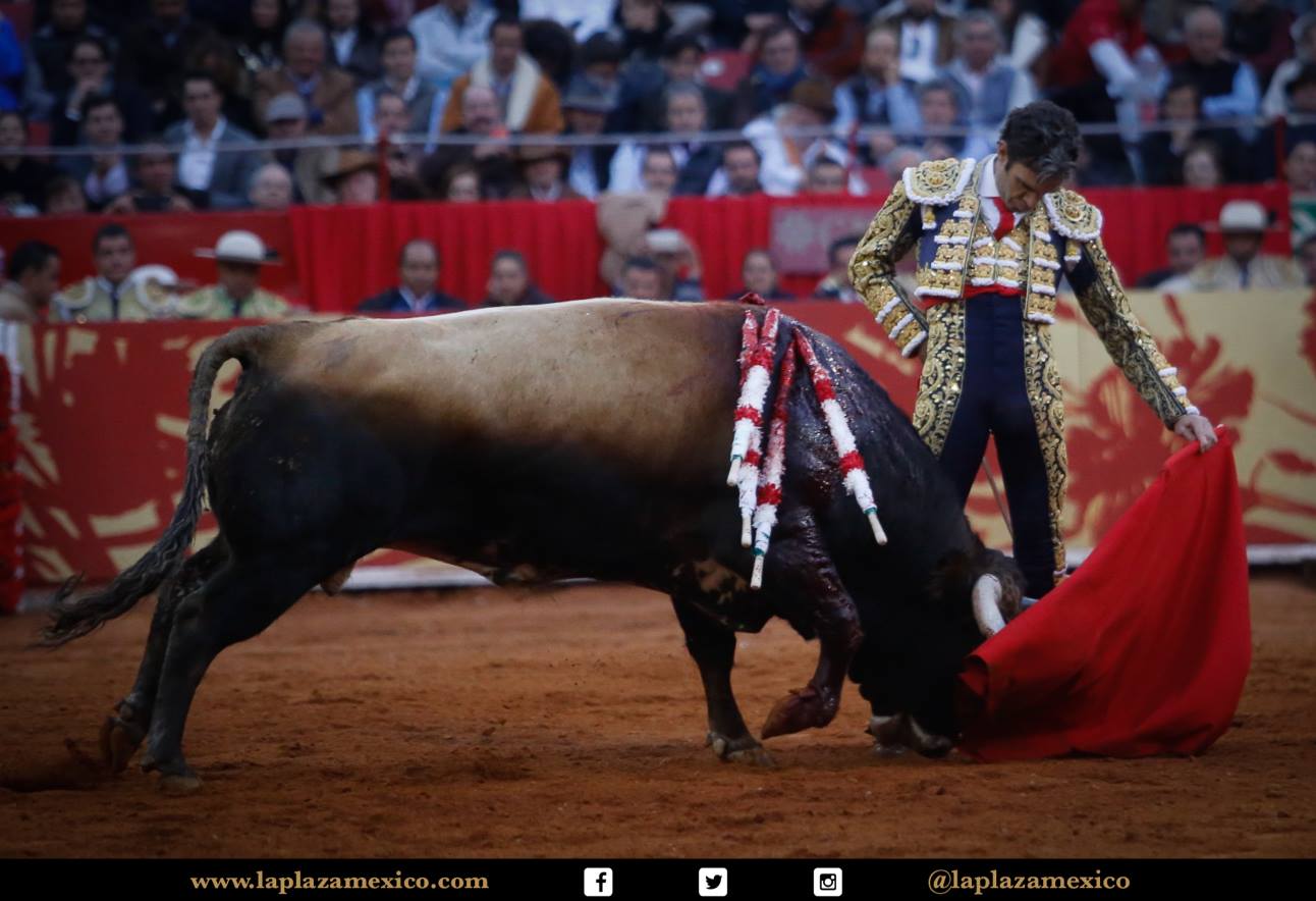 México DF. 12 de diciembre de 2017.