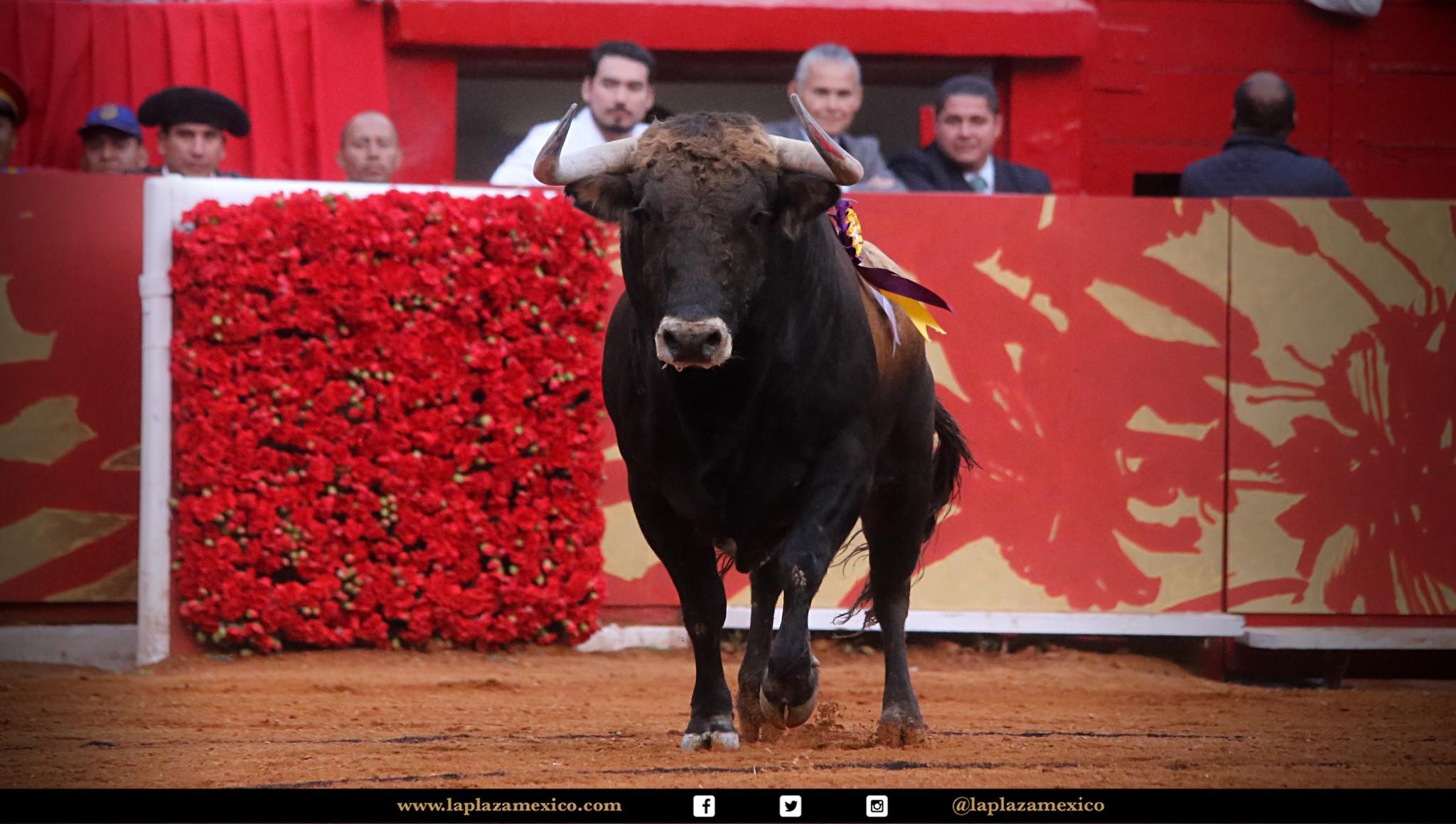 Detalles de la corrida del 12 de diciembre en La México